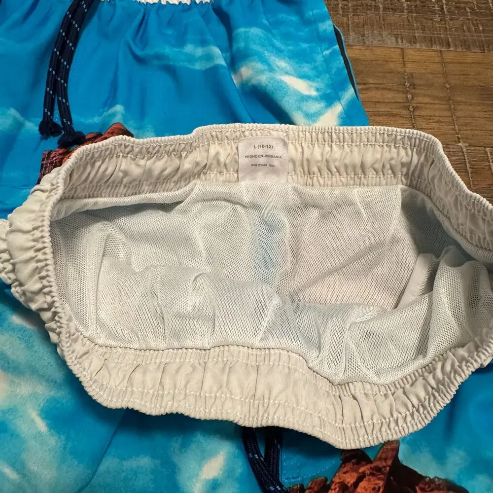 Lot of 2 Boys Swim Trunks Wonder Nation L 10-12 Dinosaur Surf Boards Twins